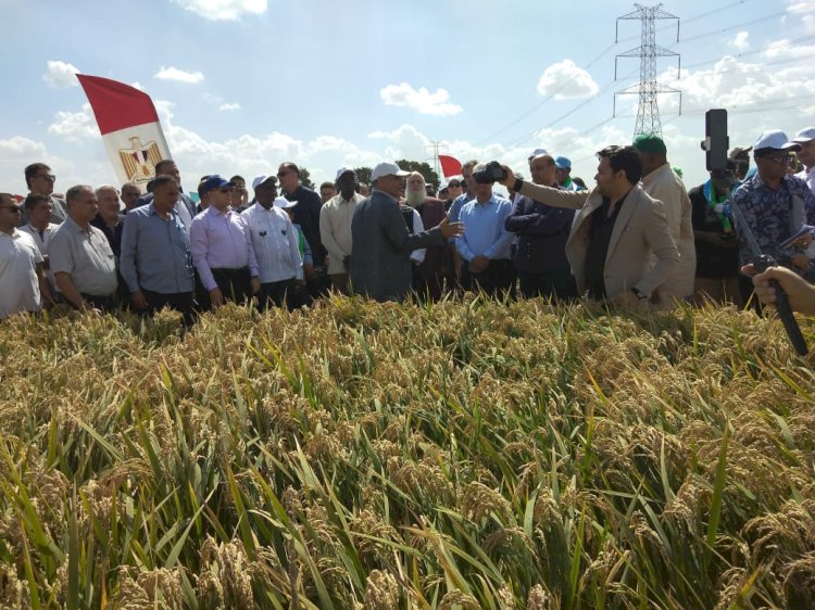 "بحوث الصحراء" يختتم فعاليات  الدورة السابعة للمدرسة الصيفية بمطروح