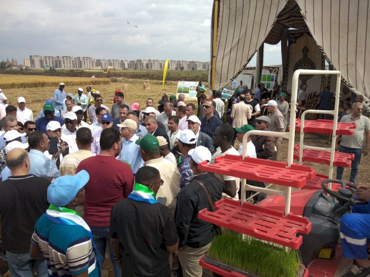 وفود منتدى الأرز الأفريقي تتفقد محطة سخا للاطلاع على أحدث تقنيات زراعة الأرز