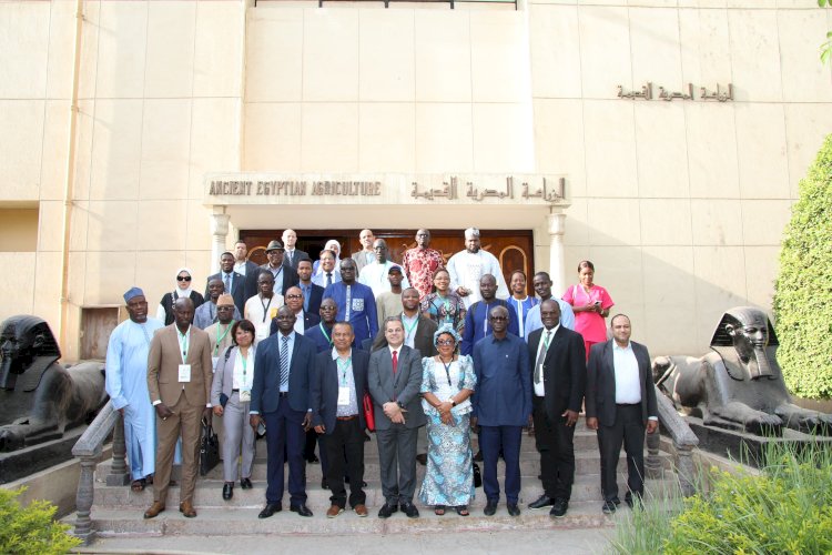 ننشر توصيات المشاركون في منتدى الأرز الأفريقي بالقاهرة