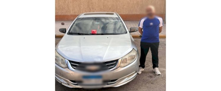 نكشف فيديو قيام قائد سيارة بوضع طعام مسمم للكلاب الضالة  بالجيزة