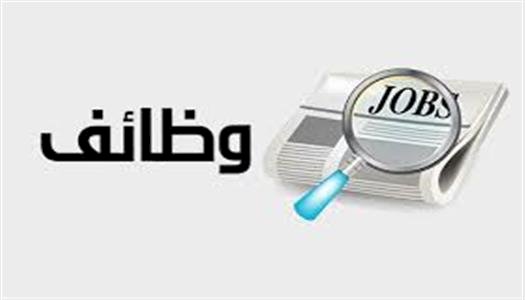 الحكومة: 5173 فرصة توظيف فى 76 شركة خاصة بـ17 محافظة منها فرص لذوى الهمم