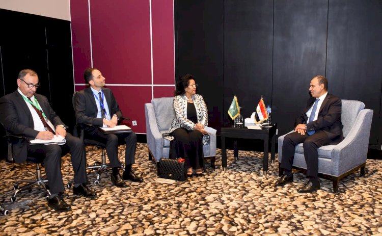 وزير الخارجية يلتقي المديرة التنفيذية لـ"النيباد"