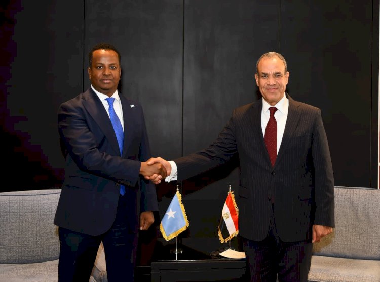 وزير الخارجية يبحث مع نظيره الصومالي تعزيز الشراكة الاستراتيجية بين البلدين