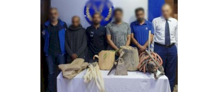 ضبط 6 أشخاص لقيامهم بأعمال الحفر والتنقيب غير المشروع عن الآثار بالقاهرة