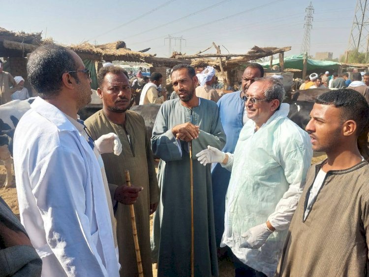 "الزراعة" تنفذ أكثر من 2,800 ندوة  استعدادًا للحملة القومية للتحصين ضد الحمى