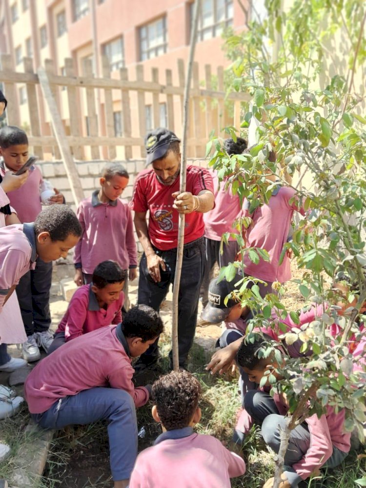 مبادرة صحتهم مستقبلهم تنفذها مياه الشرب بالمنيا لزراعة 2000 شجرة بالمدارس