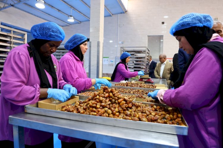 "فاروق ومنال" يتفقدان مشروع الإنتاج الحيواني ومجمع تمور الوادي الجديد