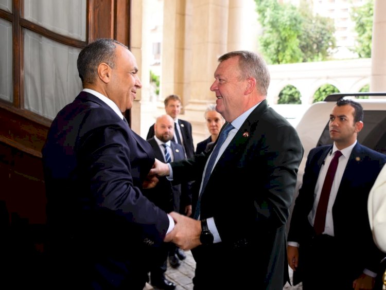 وزير الخارجية يلتقي نظيره الدنماركي