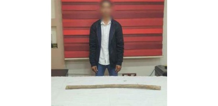 عامل يلقن عمته علقة بعصا خشبية بالفيوم