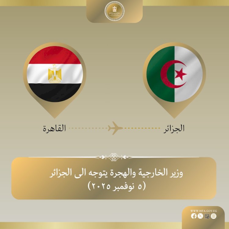 وزير الخارجية يتوجه إلى الجزائر