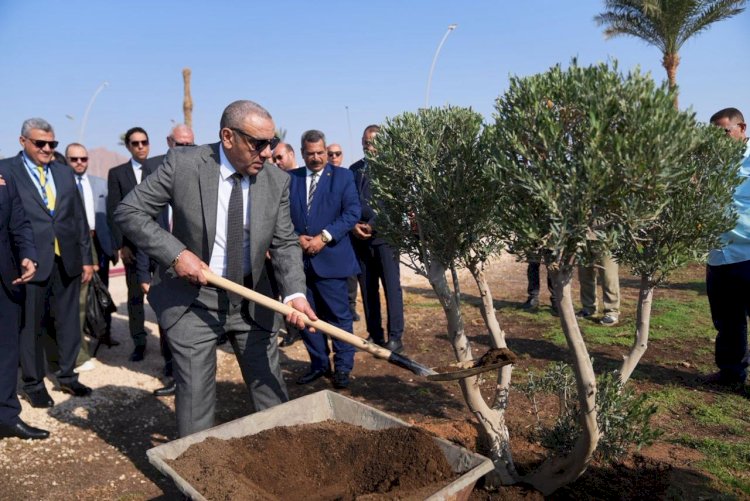 اتحاد شركات التأمين يدشن مبادرة «جو جرين» للعام الثاني على التوالي بـ راندفو 7