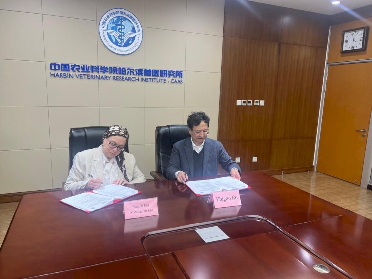 "الزراعة": تعاون مصري صيني لتعزيز الابتكار في مجال الصحة الحيوانية