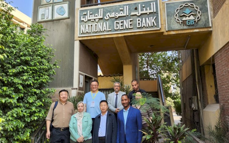 البنك القومي للجينات يستقبل وفد الأكاديمية الوطنية للغابات بالصين