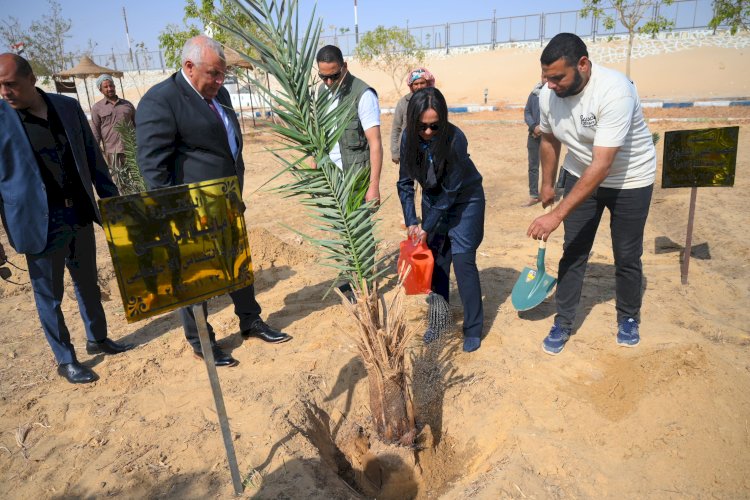 وزيرة التضامن الاجتماعي تغرس نخلة في حديقة 30 يونيو بالوادي الجديد