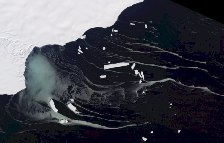 علماء روس زرعوا الطماطم والجرجير و200 نوع أخر في القطب الجنوبي