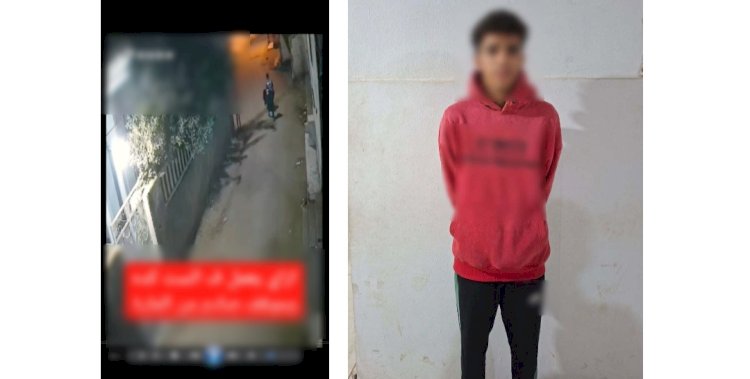 ضبط طالب لقيامه بضرب ربة منزل بالمنوفية