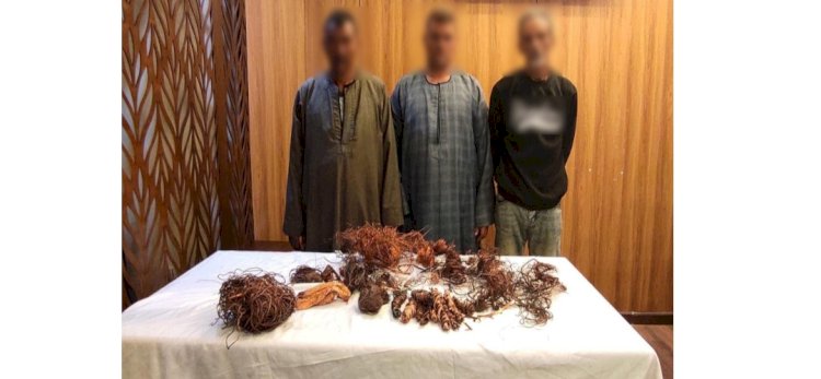 القبض علي المتهم بسرقة كابلات كهربائية بالجيزة