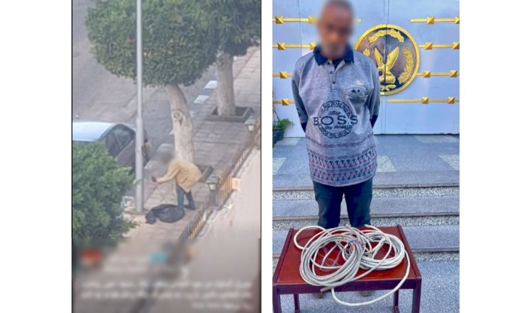 ضبط المتهم بسرقة أسلاك كهربائية من أعمدة الإنارة ببورسعيد