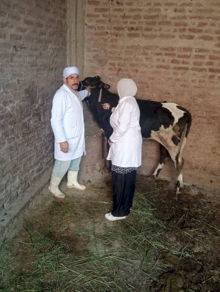 "الزراعة"  تحصين أكثر من 7.5 مليون جرعة للقاحي الحمي القلاعية والوادي المتصدع