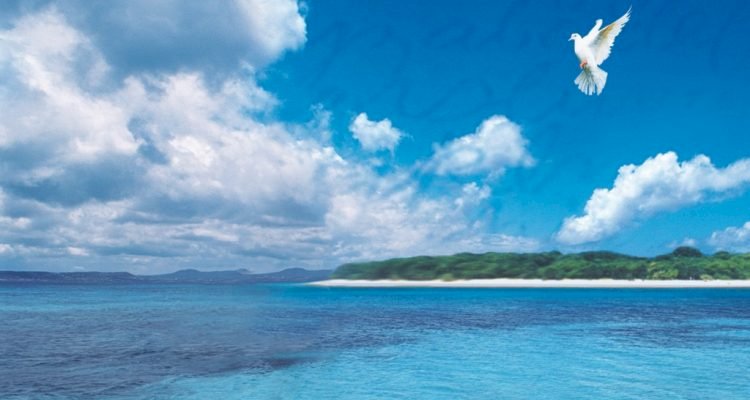 نسمات من وعي الذات .. بقلم زينب طارق