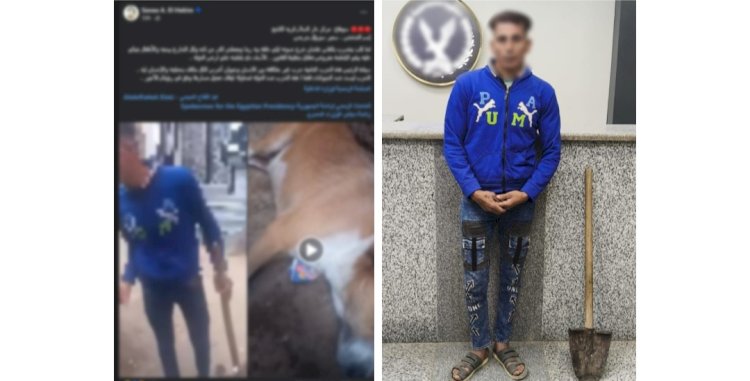 ضبط مزارع لقيامه بالتعدى بالضرب على كلب بسوهاج