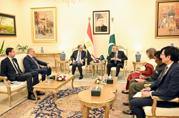 مشاورات سياسية بين وزيرى الخارجية ونظيره الباكستاني فى إسلام آباد