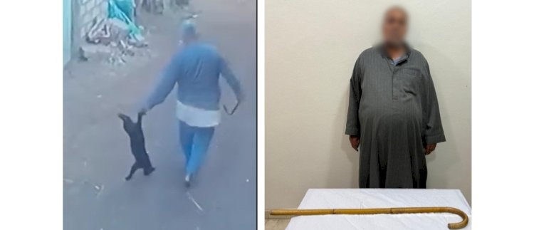 ضبط عامل لاتهامه بالتعدي علي قطة بعصا خشبية بالشرقية