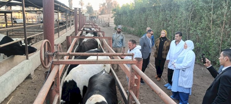 "الزراعة" تعلن تحصين الماشية بأكثر من 8.1 مليون جرعة ضد الامراض