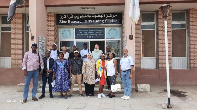 محافظ كفرالشيخ: الانتهاء من تدريب وفد من 10 دول إفريقية على تقنيات تحسين تقاوي الأرز