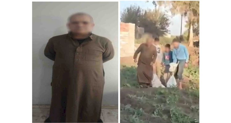 نكشف فيديو قيام مزارع بالقاء عدد من الكلاب الصغيرة داخل مصرف بالغربية