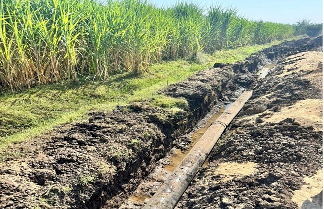 ​"الزراعة" تواصل أعمال مشروع تطوير ري قصب السكر في "قفط وقوص" بقنا