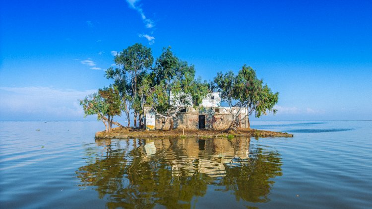 كلمات من صمت .. بقلم زينب طارق