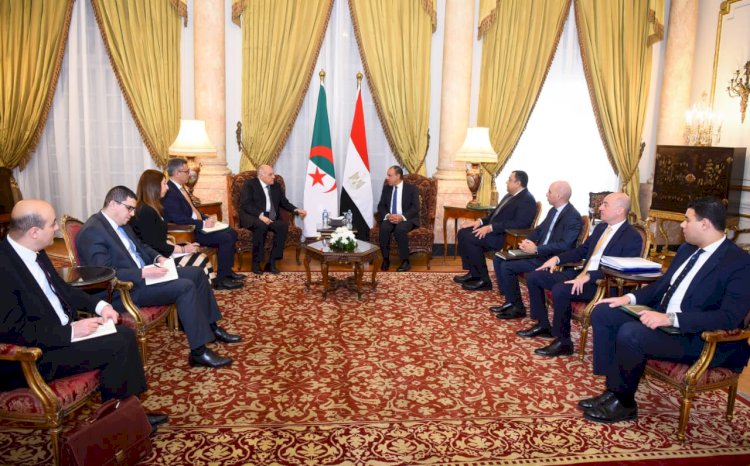 وزير الخارجية يلتقي نظيرة الجزائري