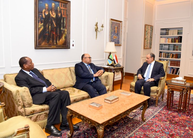 عبدالعاطي يلتقي نظيره التنزاني