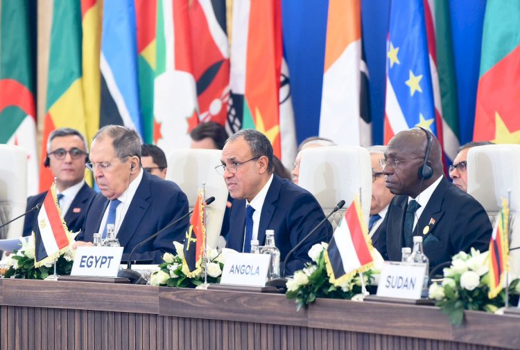 وزير الخارجية يستعرض رؤية مصر للأمن والتنمية في أفريقيا