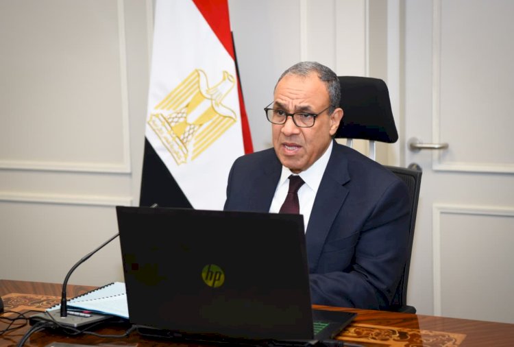 لقاء افتراضي لوزير الخارجية مع الجالية المصرية في كمبوديا وسنغافورة وتايلاند