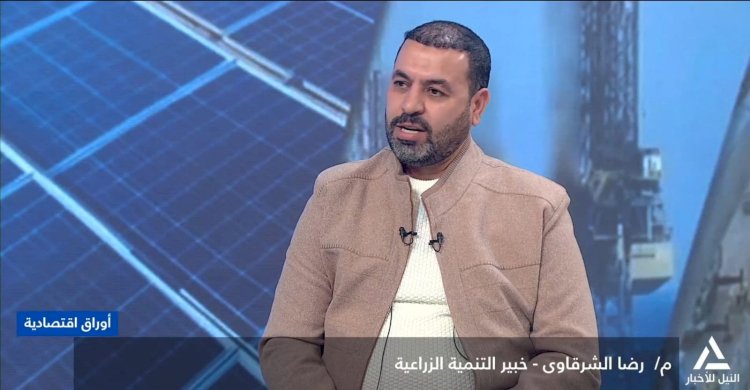 رضا الشرقاوى: القطاع الزراعي يحتاج لحزم من الحوافز الاستثمارية