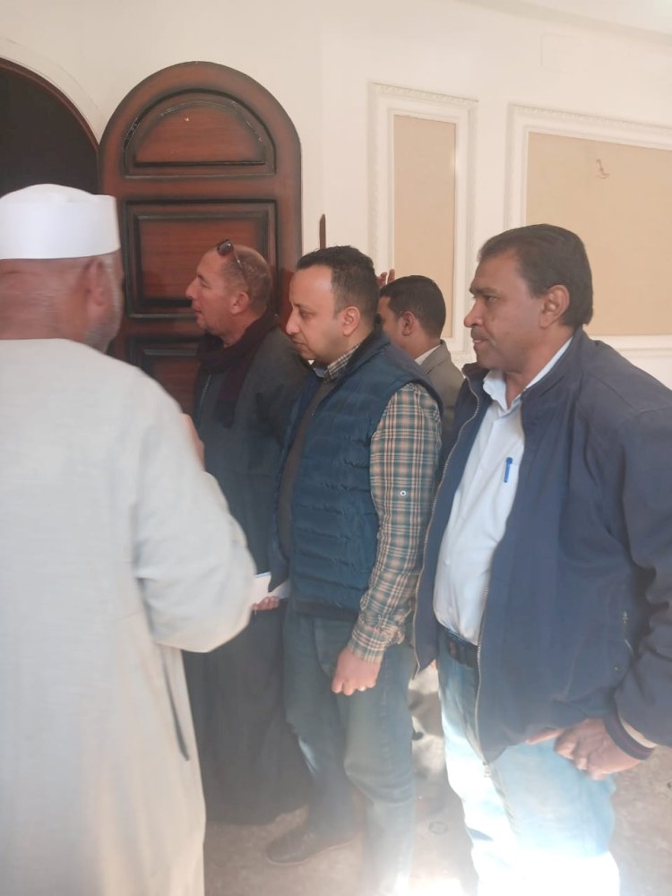 ننشر حقائق انهيار منازل الاقصر بسبب "النمل الأبيض"