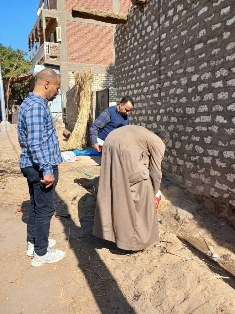 "الزراعة" تطلق حملات مكثفة لمكافحة "النمل الأبيض"