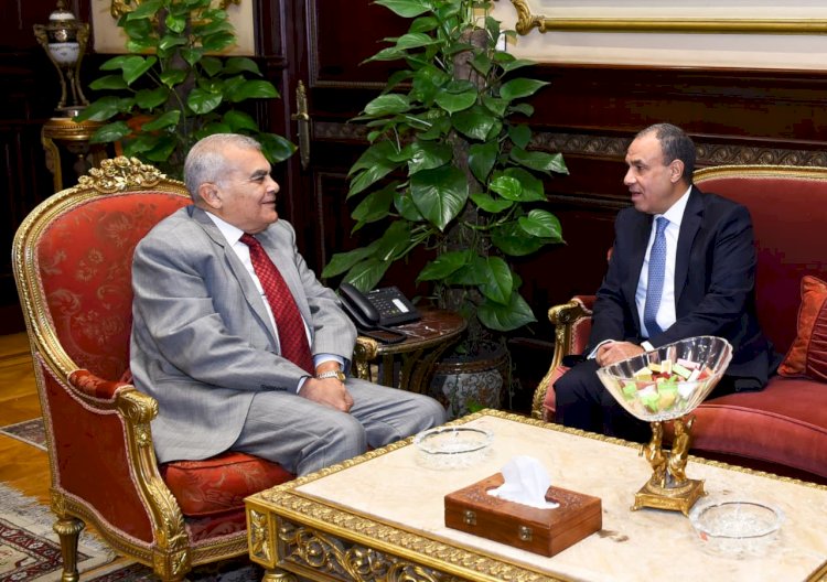 وزير الخارجية يلتقي رئيس مجلس الشيوخ