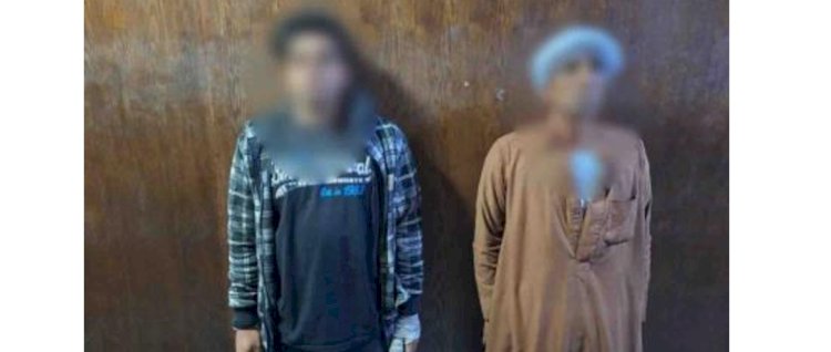 حقيقة فيديو ظهور خيول داخل فناء إحدى المدارس بالجيزة