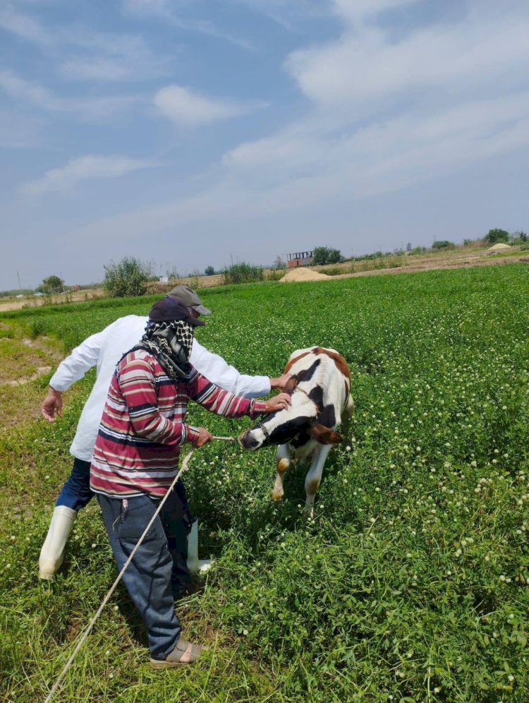 ننفرد بنشر إنجازات "الزراعة" 2025