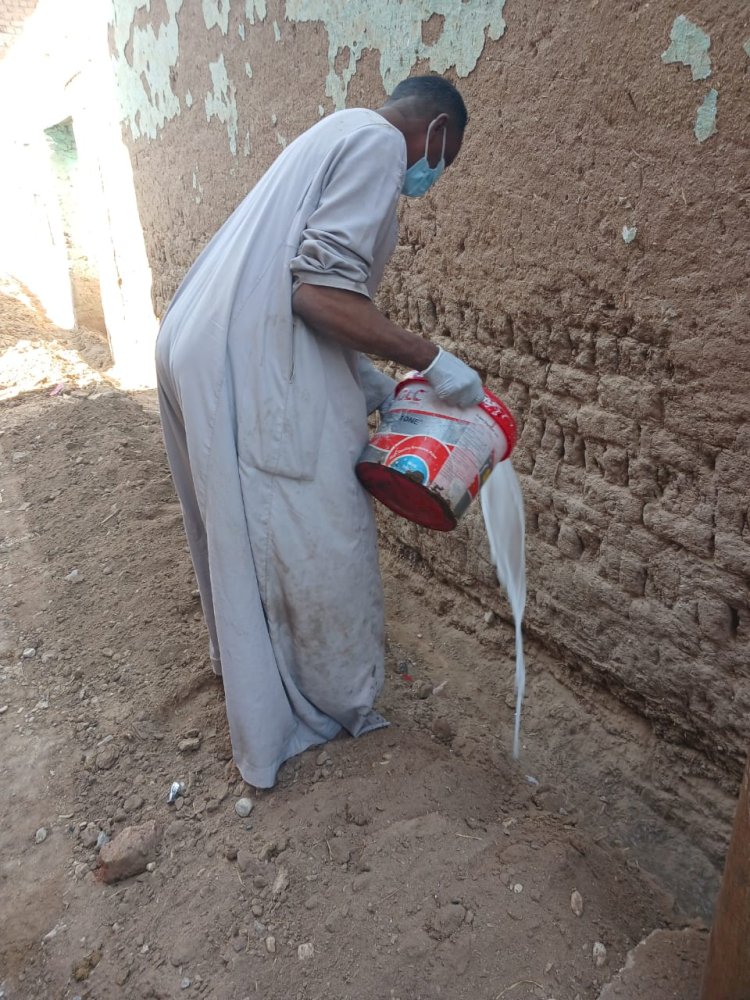 "الزراعة" تتابع موقف النمل الابيض وتتفقد الزراعات الشتوية في محافظات الصعيد