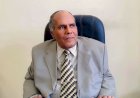 الشاعر الدكتور مصطفي رجب يكتب : من تراثنا الشعبي