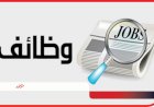 العمل: طرح 2343 فرصة عمل في 26 شركة خاصة بـ12 محافظة
