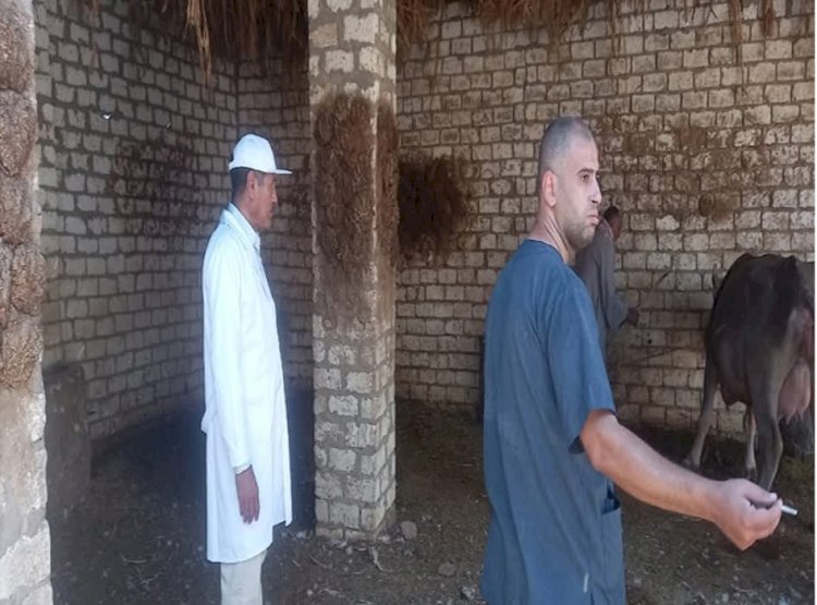 محافظ أسيوط : طفرة غير مسبوقة في خدمات الطب البيطري خلال 2025