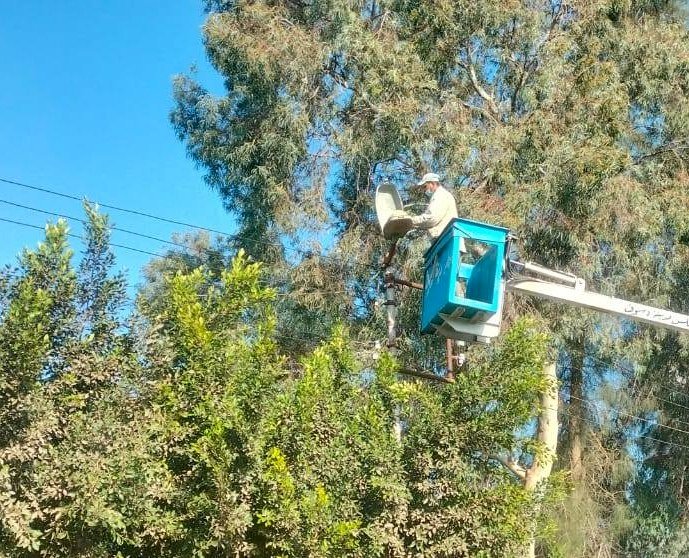 محافظ كفرالشيخ: استمرار تطوير ورفع كفاءة منظومة الإنارة العامة بدسوق