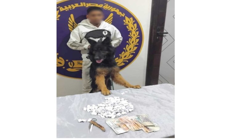 حقيقة فيديو اطلاق متهم كلب نحو آخر بالقليوبية