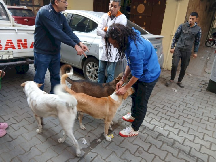 "الزراعة" تطلق منظومة وقائية متكاملة لحماية الصحة العامة والثروة الحيوانية