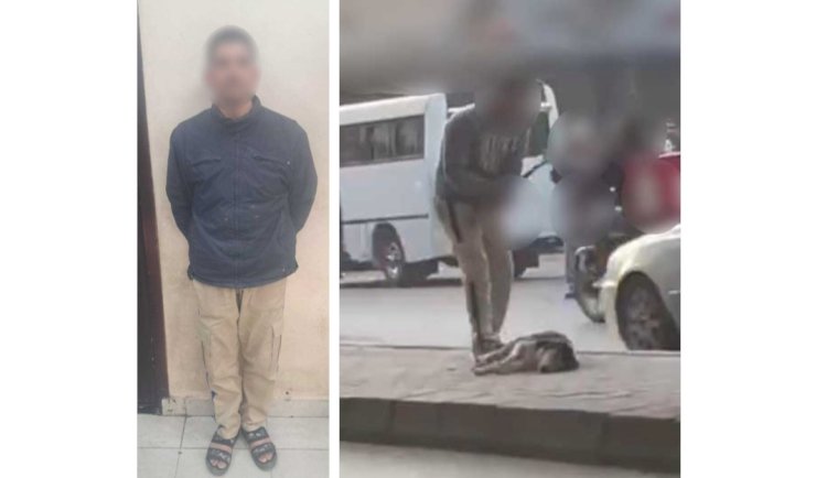 ضبط حارس عقار لقيامه بضرب كلب "بعصا" بالجيزة